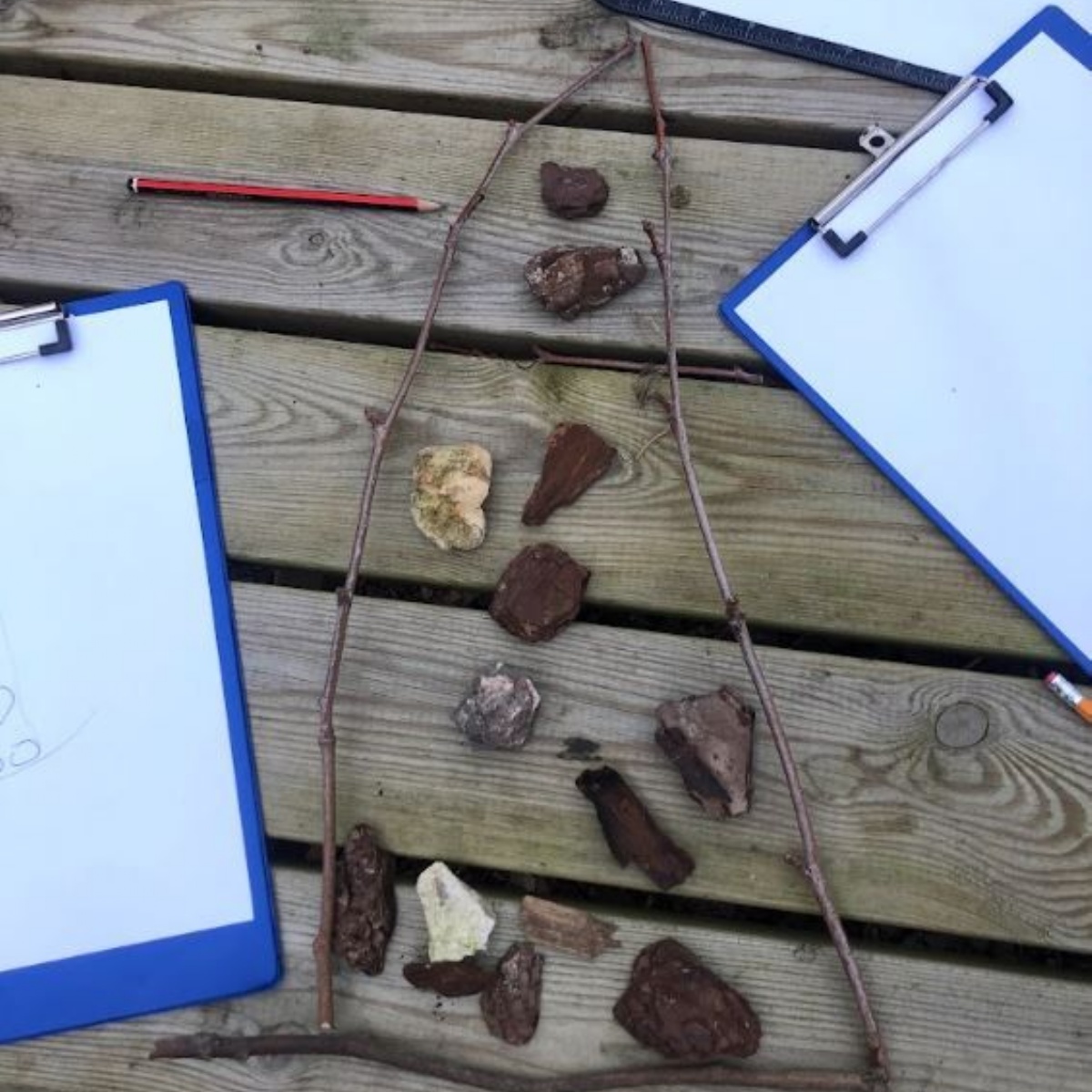 The st marylebone ce bridge school outdoor learning for year 7